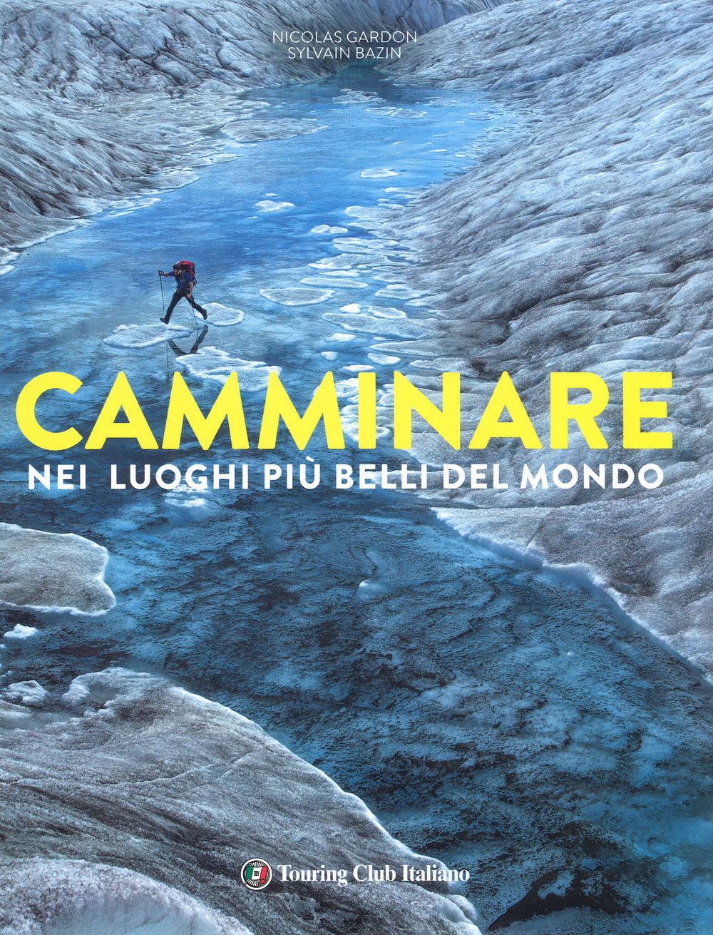 Camminare nei luoghi più belli del mondo. Ediz. illustrata.