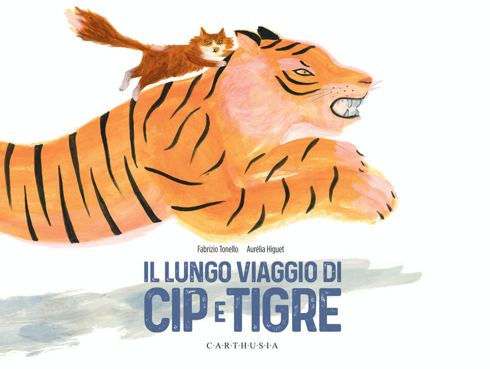 Il lungo viaggio di Cip e Tigre. Ediz. a colori.
