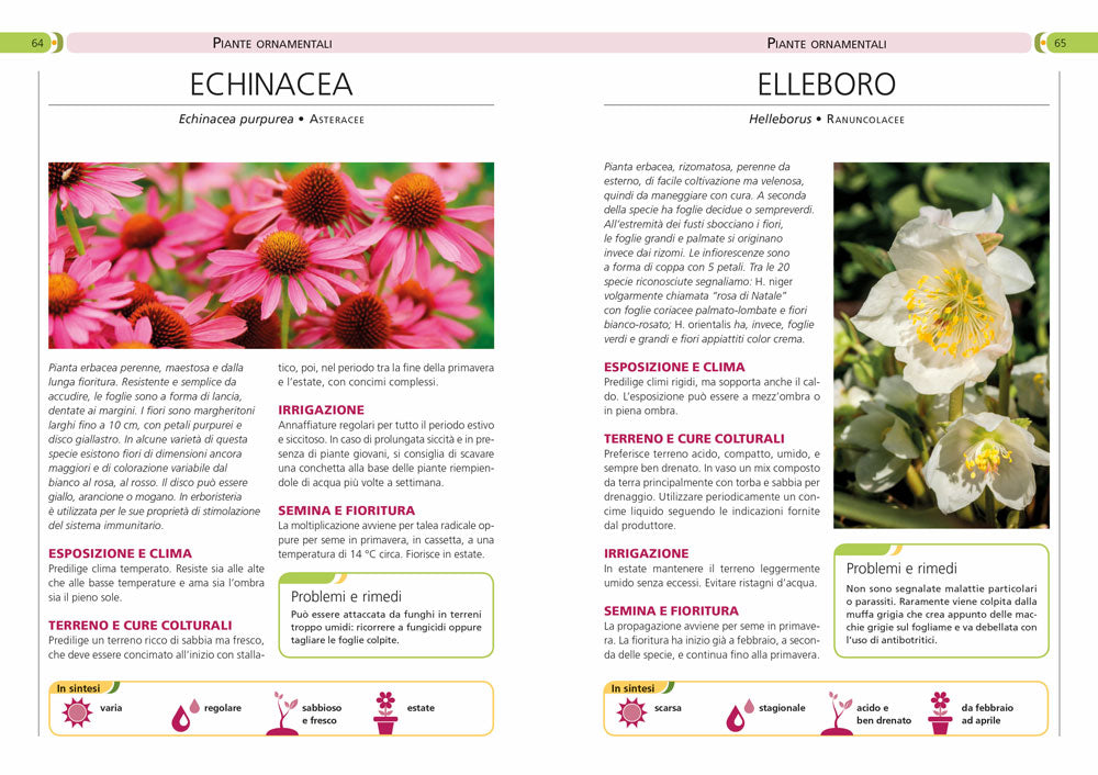 Fiori in giardino. Manuale completo per la coltivazione e la cura