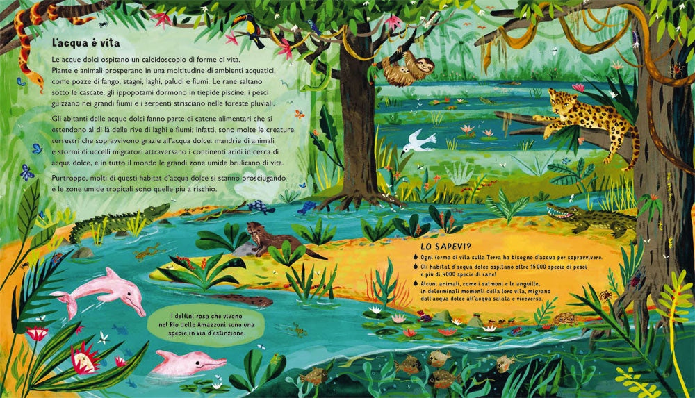 Acqua. Proteggi l’acqua dolce per salvare la vita sulla Terra