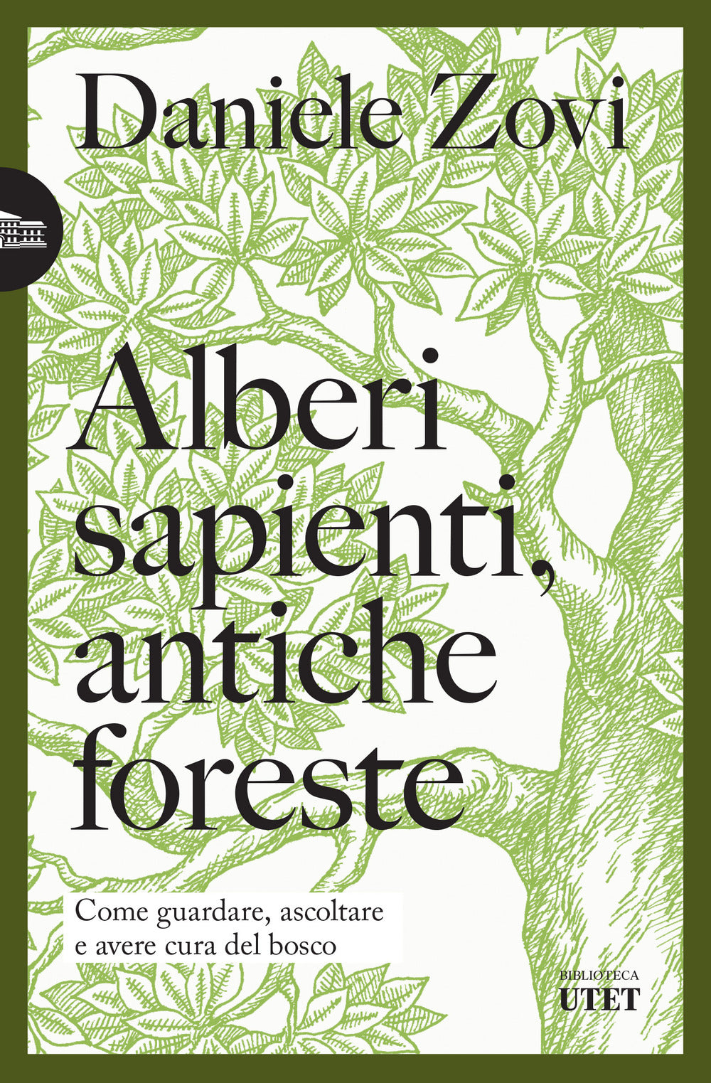 Alberi sapienti, antiche foreste. Come guardare, ascoltare e avere cura del bosco.