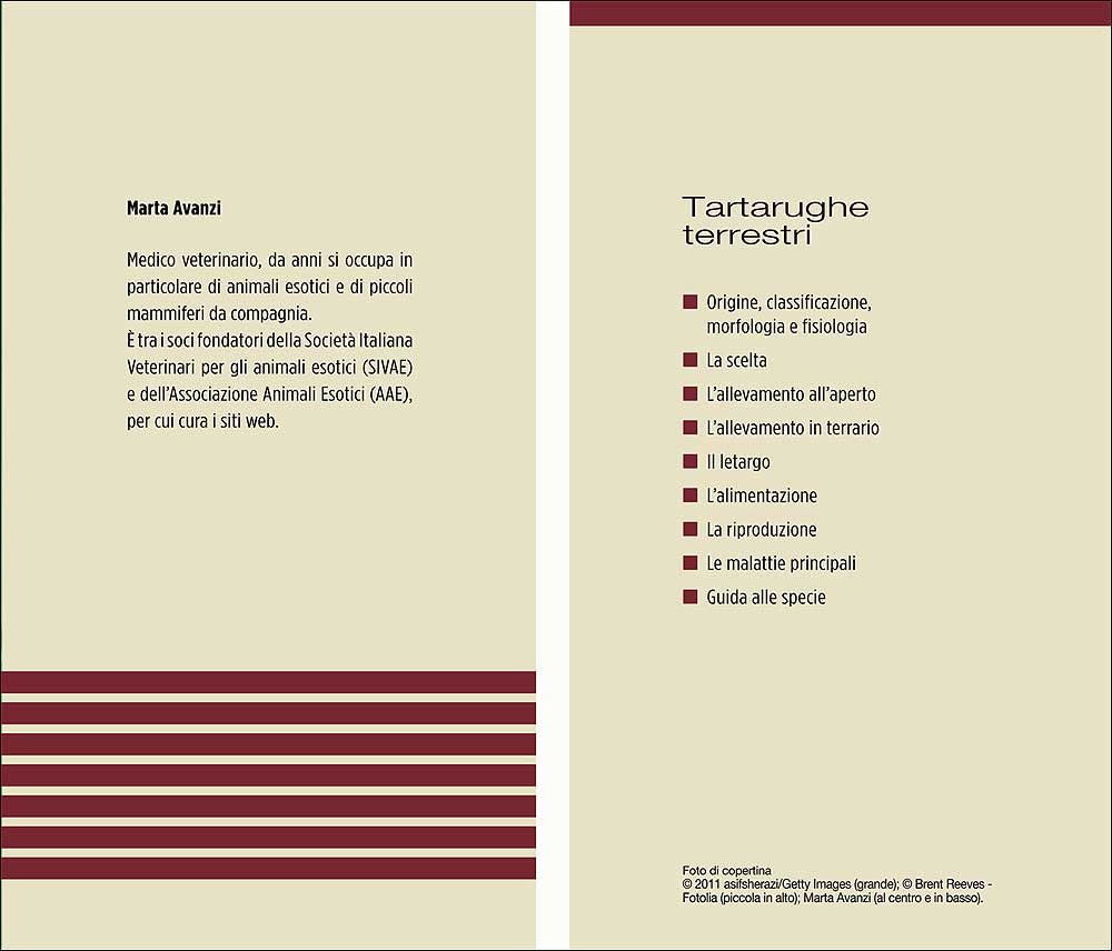 Tartarughe terrestri. Morfologia - Specie - Allevamento - Alimentazione -  Riproduzione - Igiene - Salute