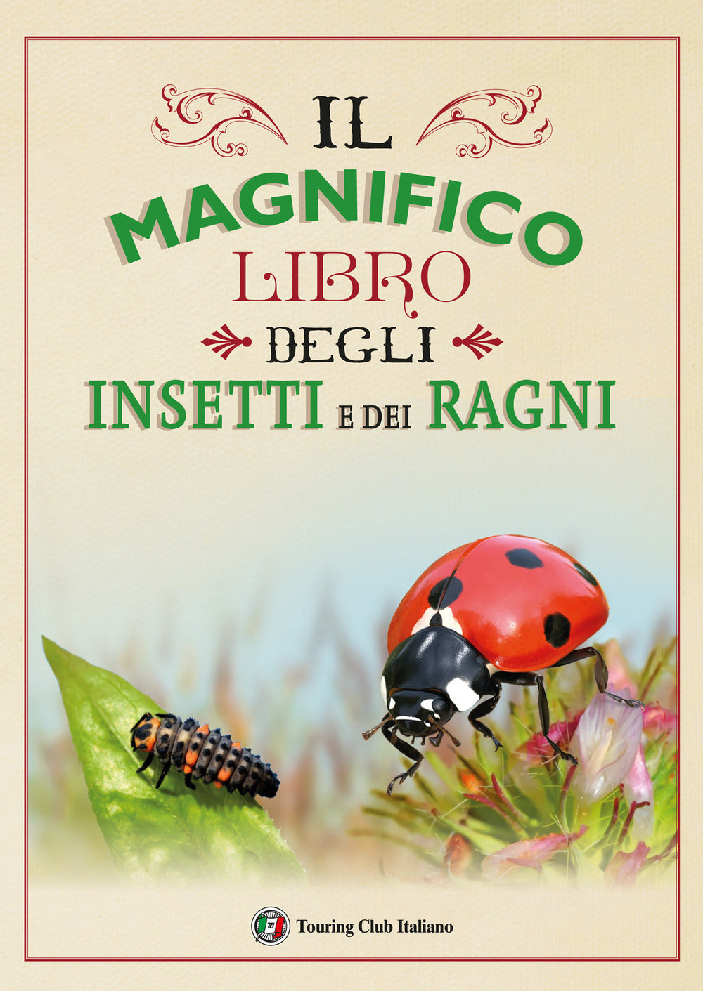 Il magnifico libro degli insetti e dei ragni. Ediz. a colori.