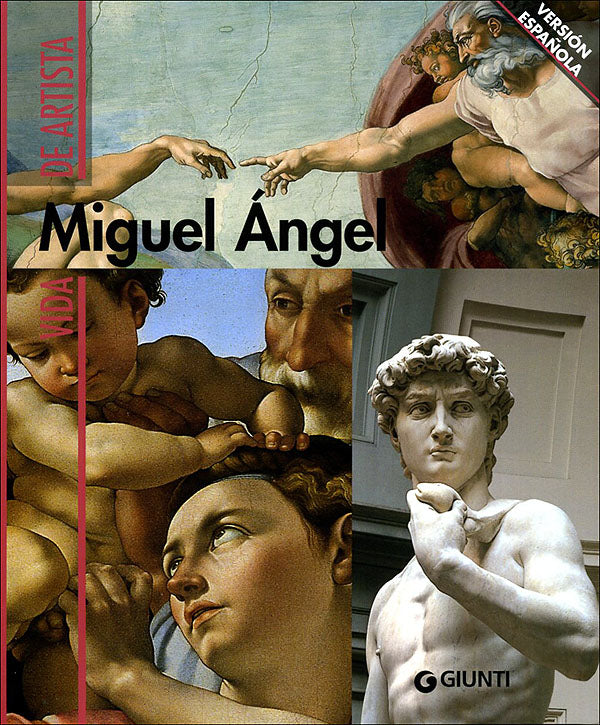 Miguel Angel. Vida de artista - Version espanola