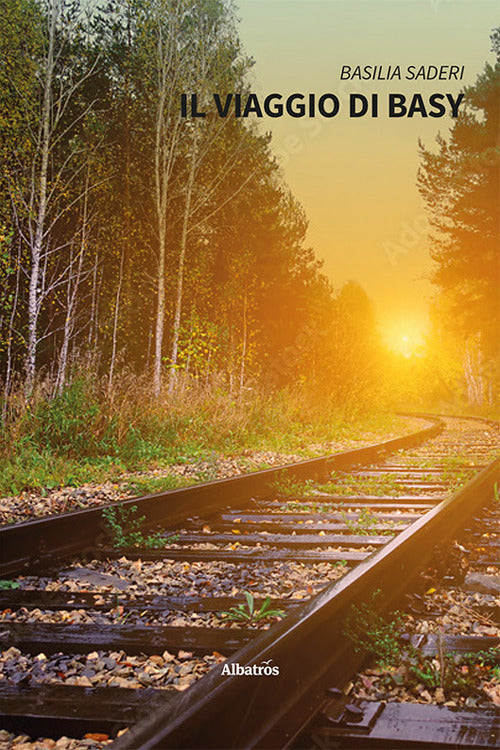Il viaggio di Basy.