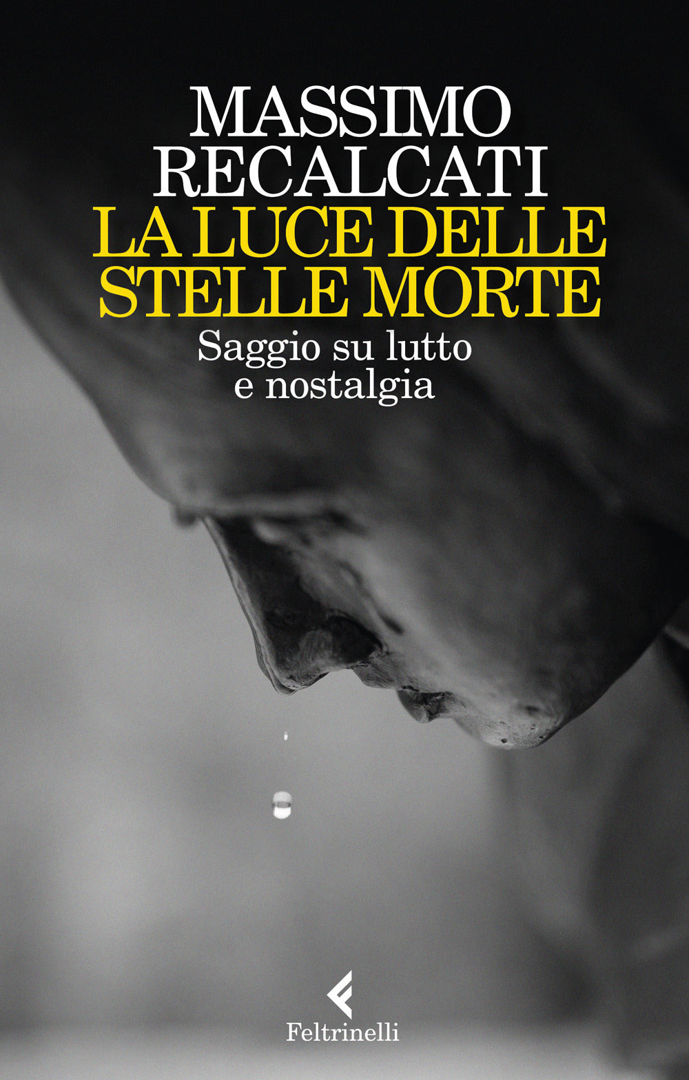 La luce delle stelle morte. Saggio su lutto e nostalgia.