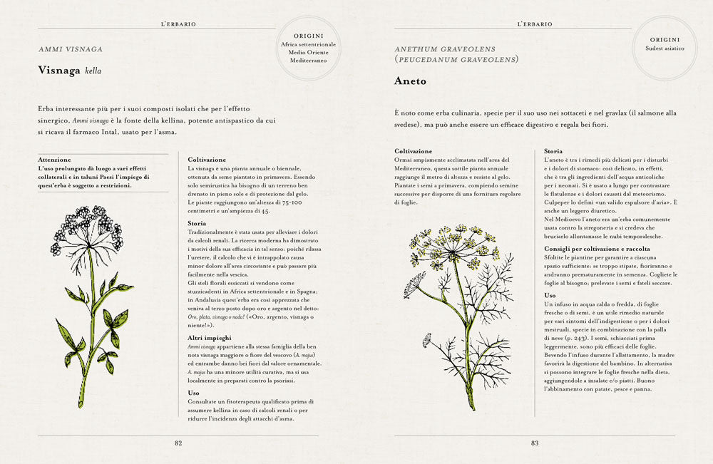Curarsi con le piante. Giuda ai rimendi fitoterapici del più antico orto botanico di Londra