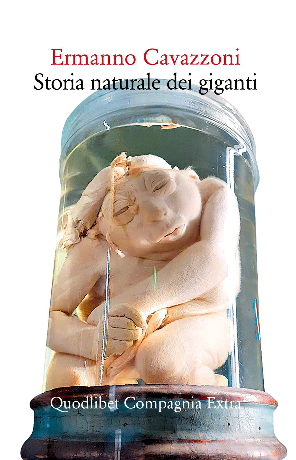 Storia naturale dei giganti. Nuova ediz..