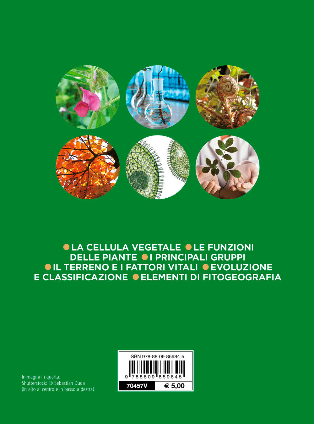 Botanica. La cellula vegetale - Le funzioni delle piante - Il terreno e i fattori vitali - Evoluzione e classificazione - I principali gruppi delle piante - Elementi di fitogeografia