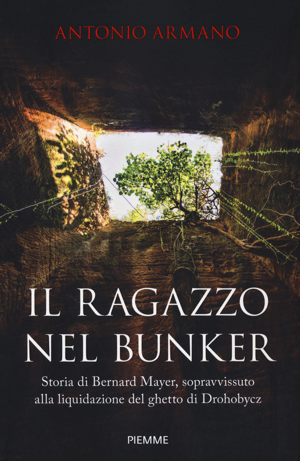 Il ragazzo nel bunker. Storia di Bernard Mayer, sopravvissuto alla liquidazione del ghetto di Drohobycz.