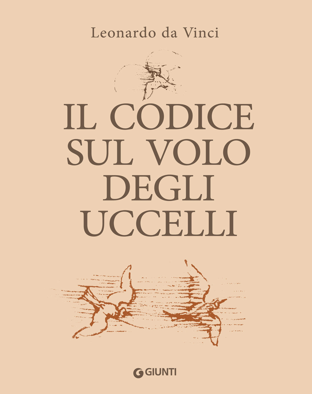 Il Codice sul volo degli uccelli