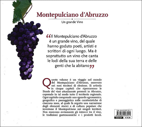 Montepulciano d'Abruzzo. Un grande Vino