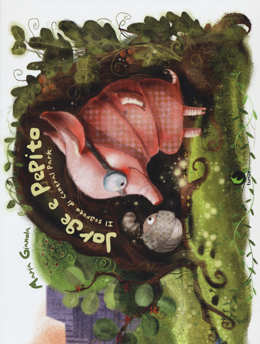 Jorge e Pepito. Il segreto di Central Park. Ediz. a colori.