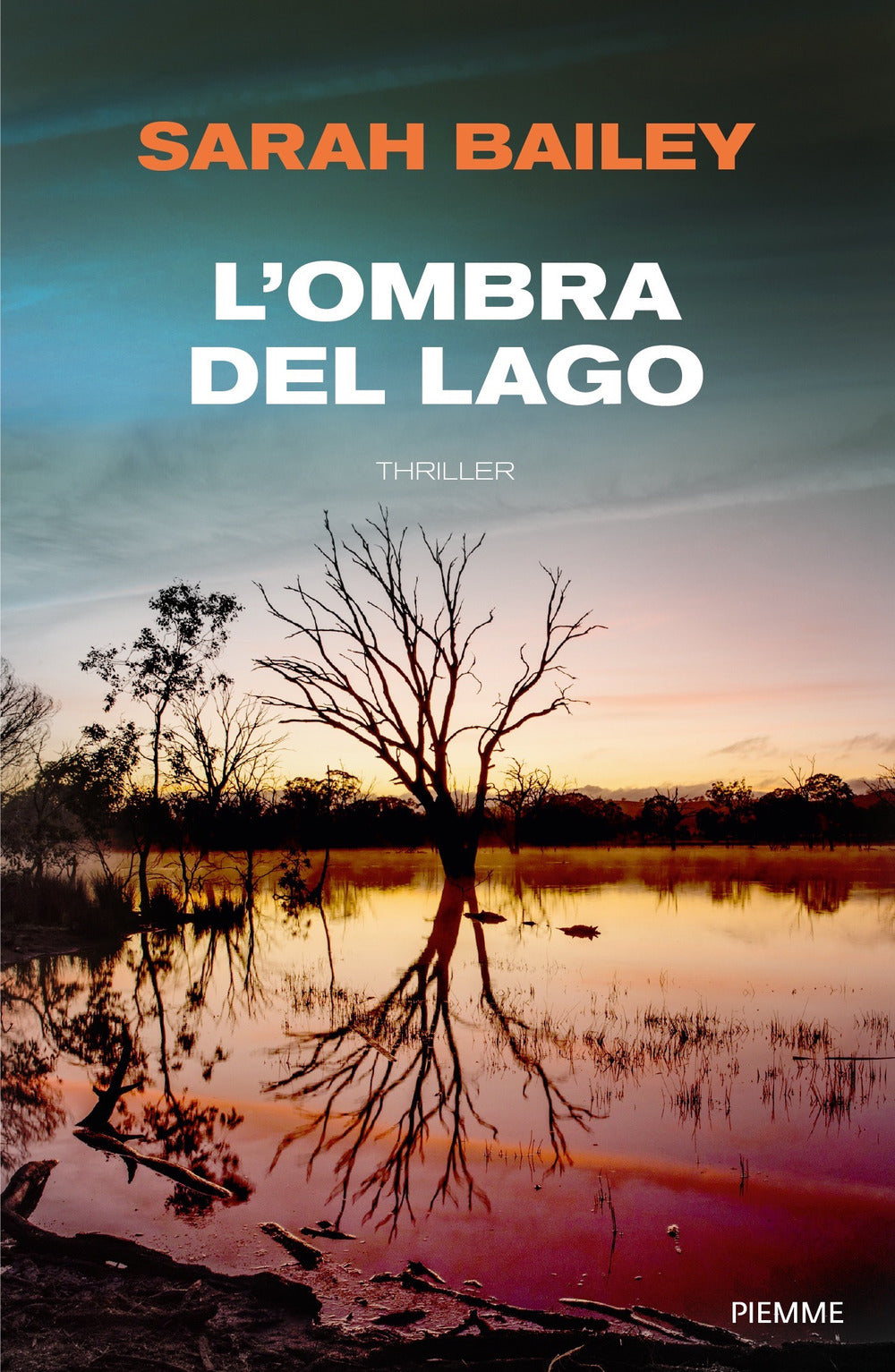 L'ombra del lago.