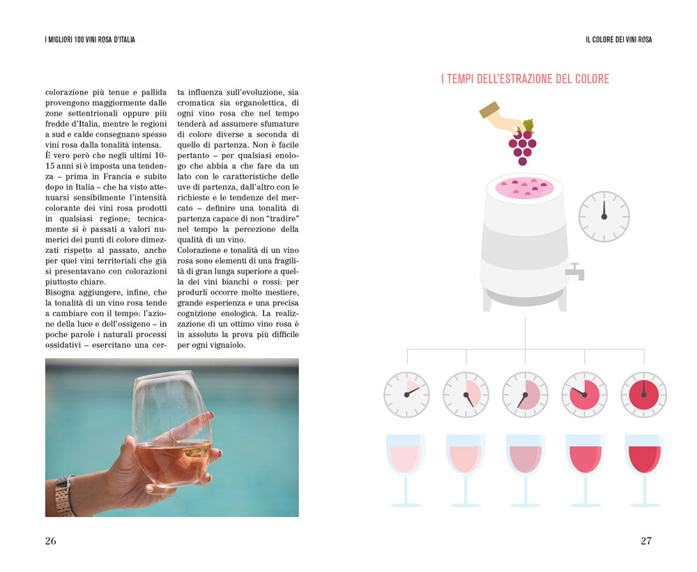 I Migliori 100 vini rosa d'Italia