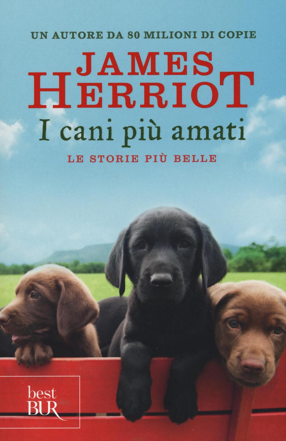 I cani più amati. Le storie più belle.