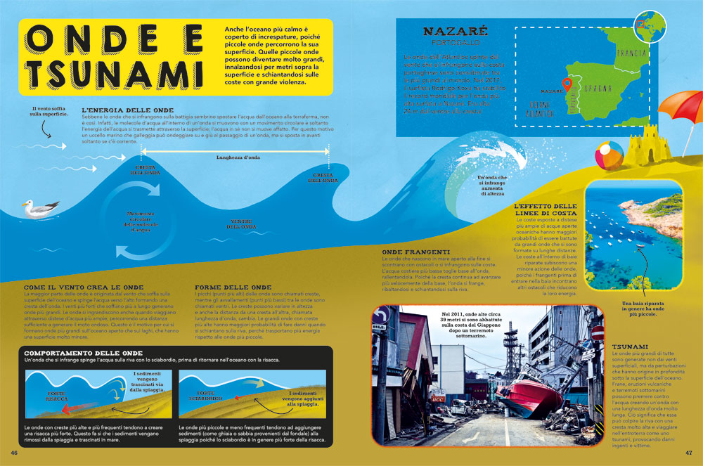 Il libro del mare. Esplora le profondità nascoste del nostro pianeta blu