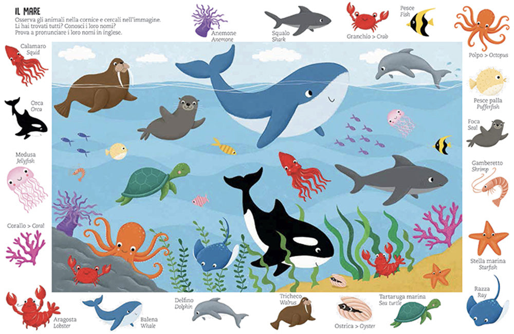 Animali. Cerca, Trova, Impara