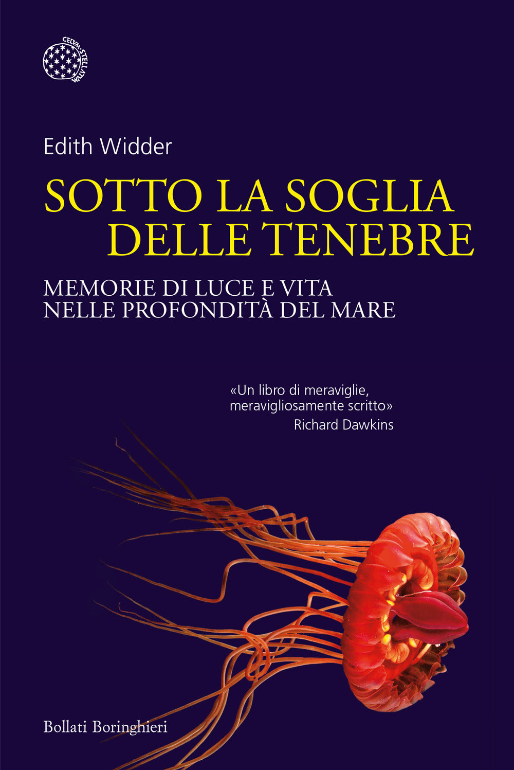 Sotto la soglia delle tenebre. Memorie di luce e vita nelle profondità del mare.