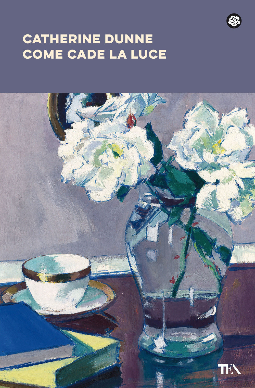 Come cade la luce. Nuova ediz..