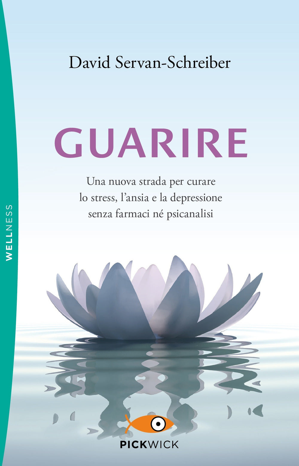 Guarire. Una nuova strada per curare lo stress, l'ansia e la depressione senza farmaci né psicanalisi.
