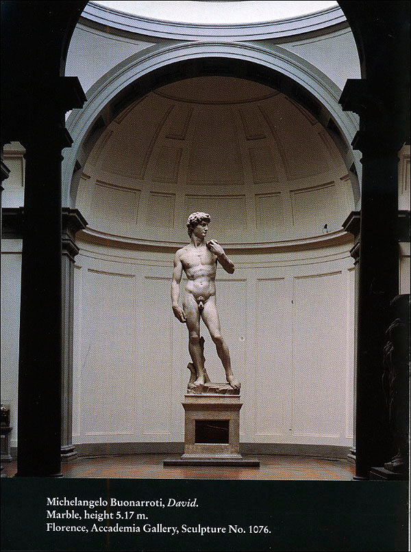 Michelangelo. David (in inglese)