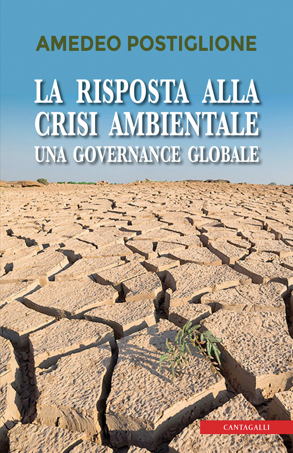 La risposta alla crisi ambientale. Una governante globale.