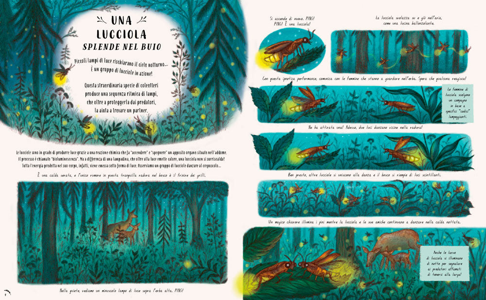 Piano piano... nel piccolo mondo. 20 Storie per fermarti ad ammirare i piccoli incanti della natura