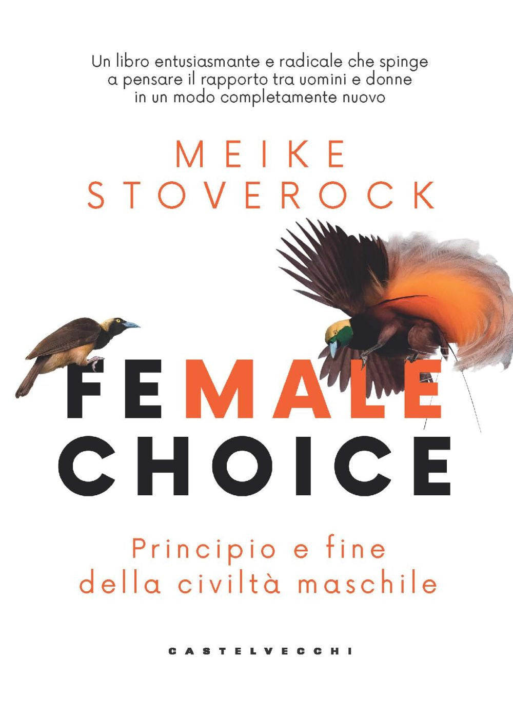 Female choice. Principio e fine della civiltà maschile.