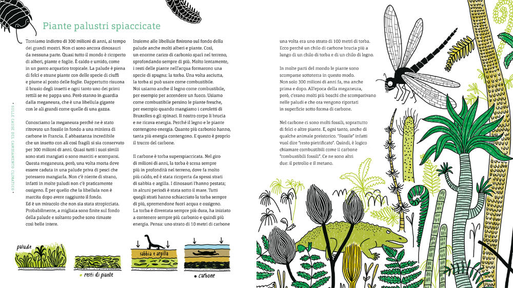 Palme al Polo Nord. Perché il clima sta cambiando?