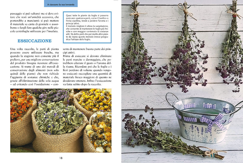 Coltiva le tue tisane. Tè e infusi